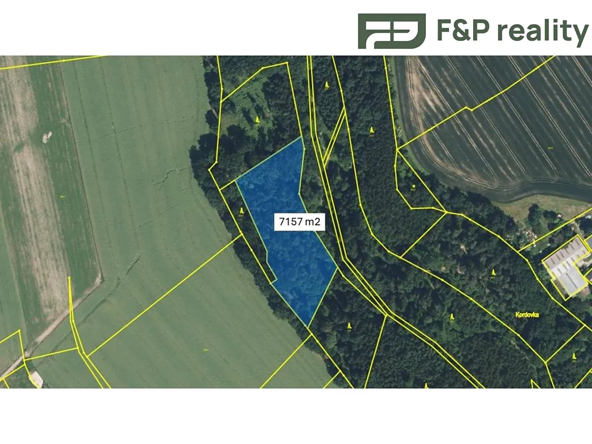 Prodej lesa 8286 m²